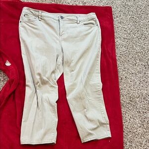 Style & Co. Women's Tan Ankle Jeans